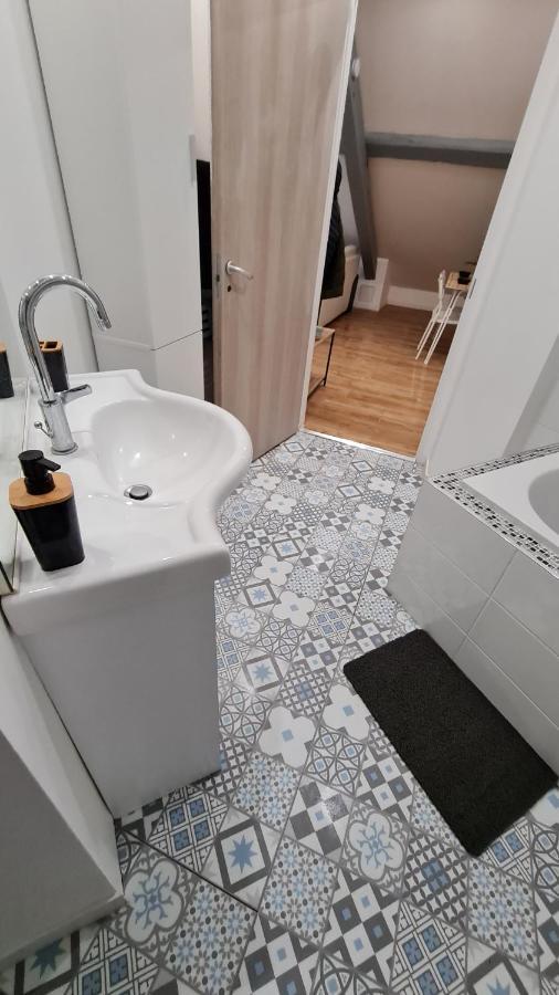 Magnifique Appartement Refait A Neuf Pont-Saint-Vincent Zewnętrze zdjęcie